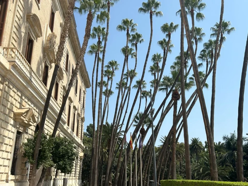 Malaga historical centre free walking tour ends in the museum of Málaga next to the palm trees and the botanic garden