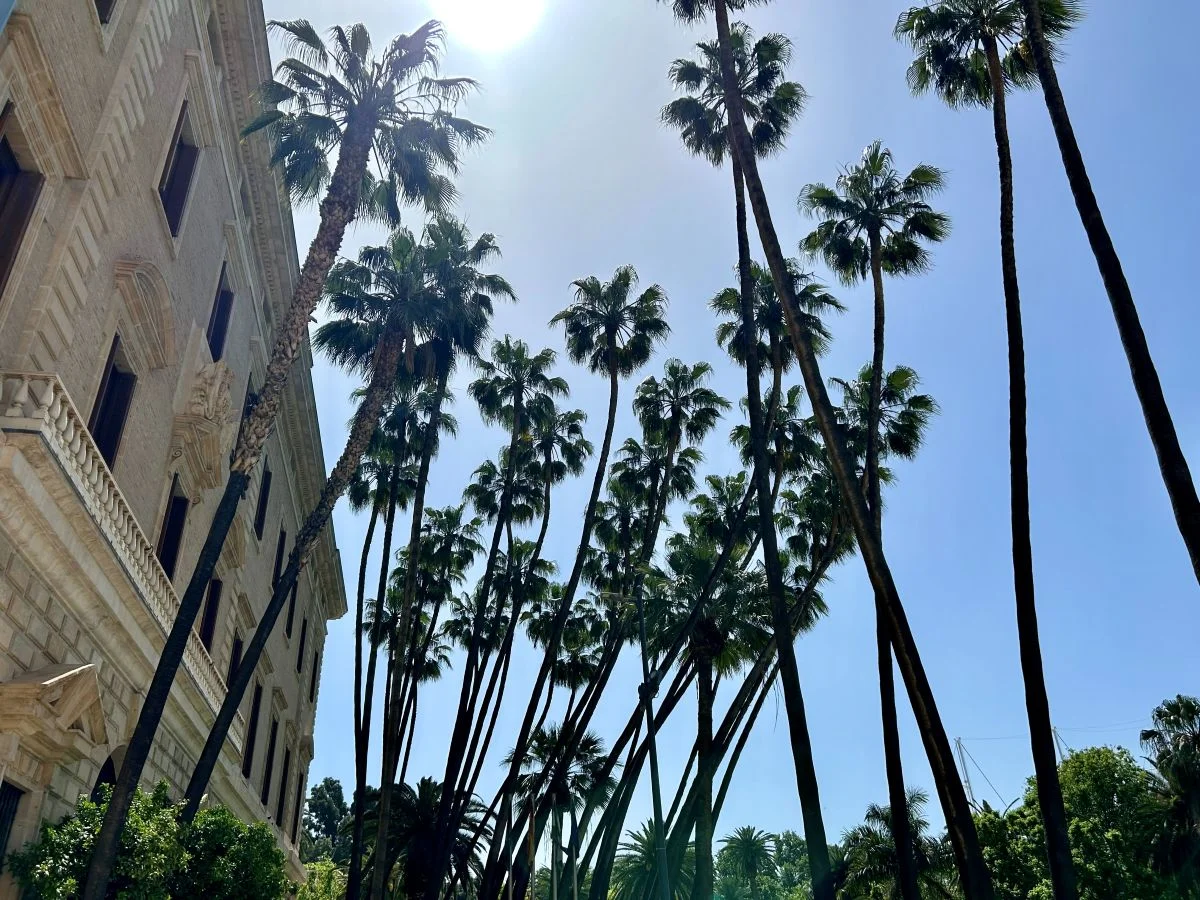 End og the free walking tour in malaga next to the museum of malaga with palmtrees in the background on a sunny day