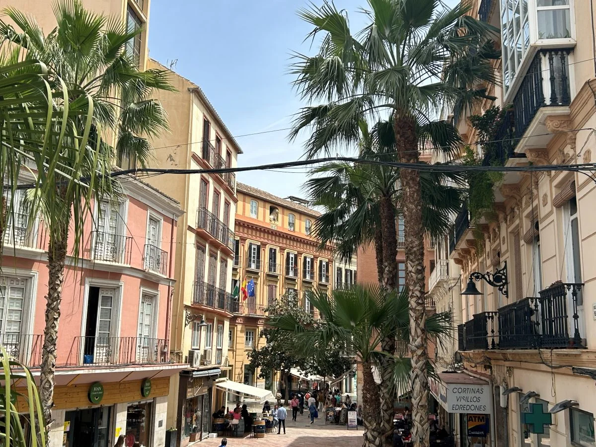 Malaga Old Town with colourful houses and palm trees in summer