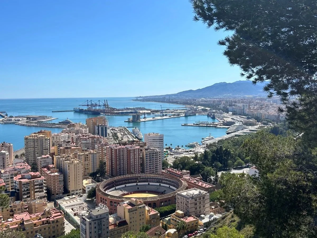 View of mountains port sea of malaga centre with good weather with the bullring and coloured buildings and trees