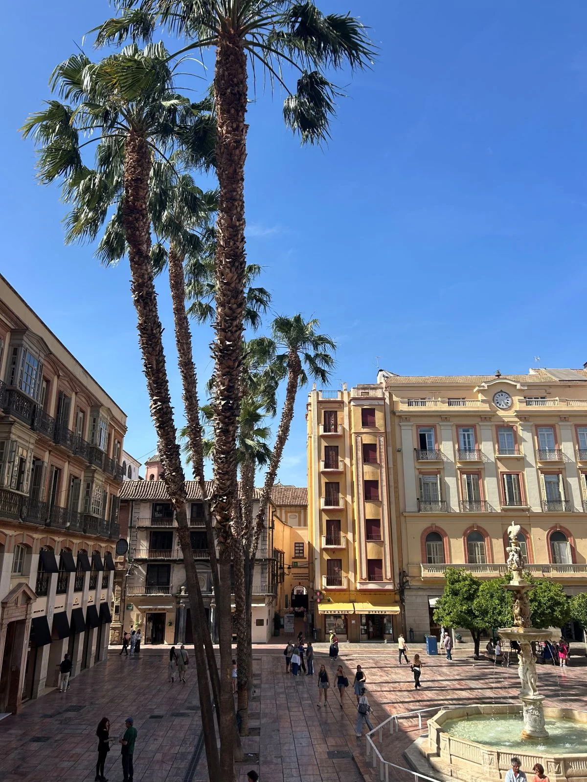 Plaza de la constitucion in the heart of malaga old town is a beautiful square with palm trees and a fountain and surrounded by buildings