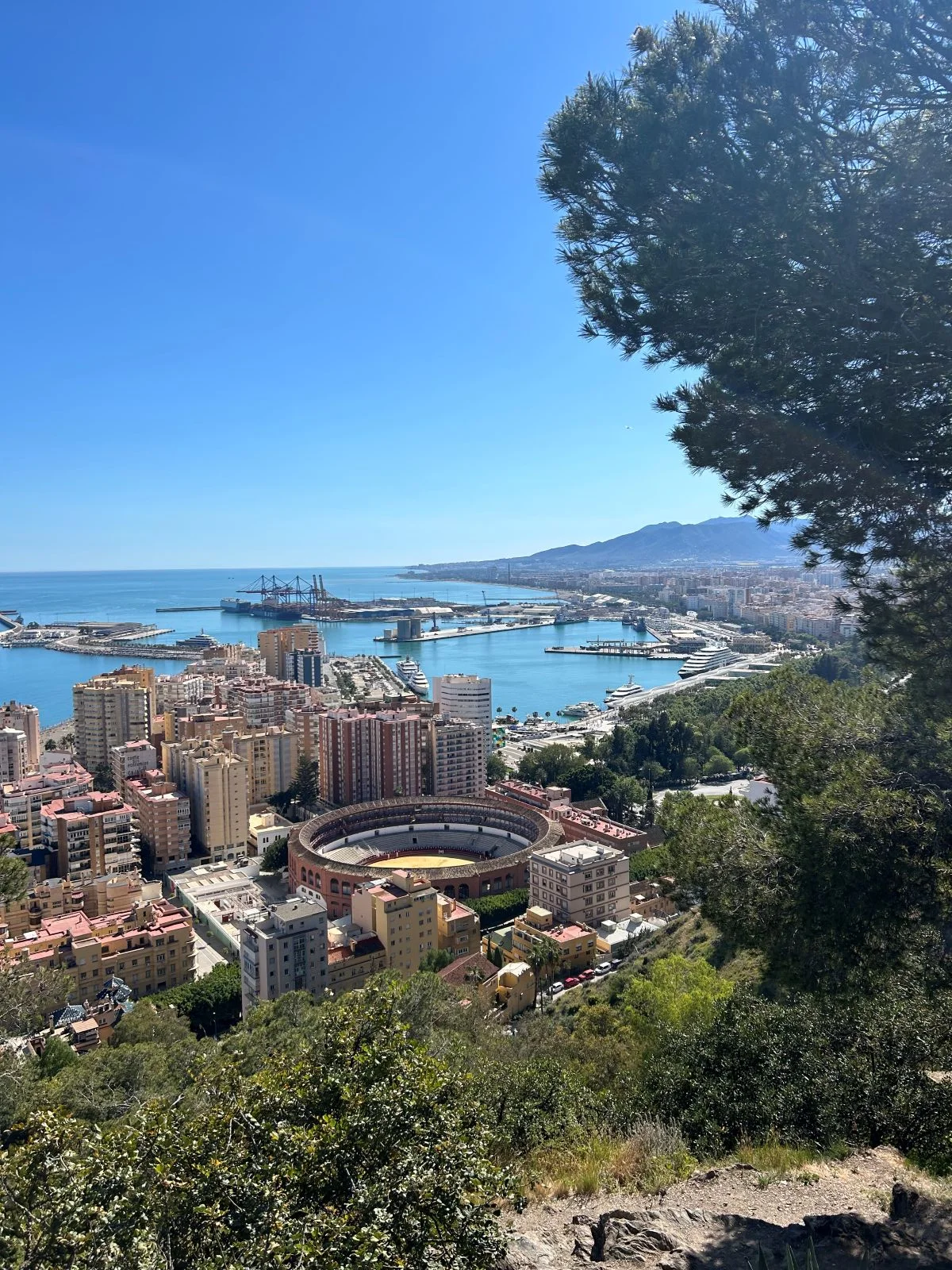 Panoramic view of Málaga historic centre, bullring and port on a sunny day and the mountain in the background during private guided tour