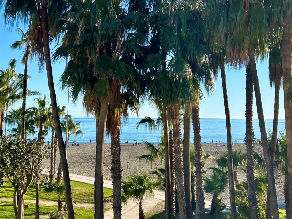 Palm trees framing Málaga beach and coastline on a summer day