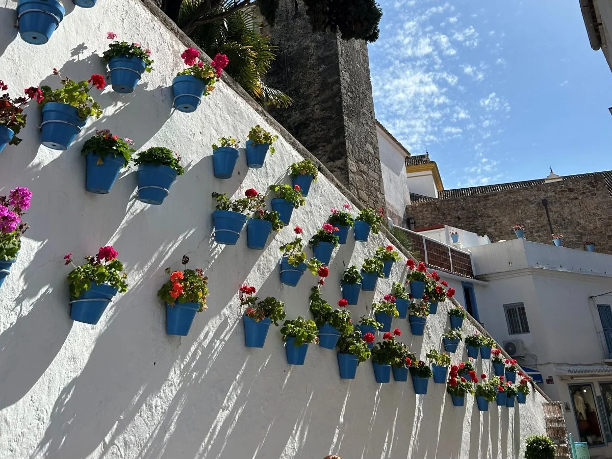 Best day trip from málaga Whitewashed walls with blue flower pots in Marbella old town malaga