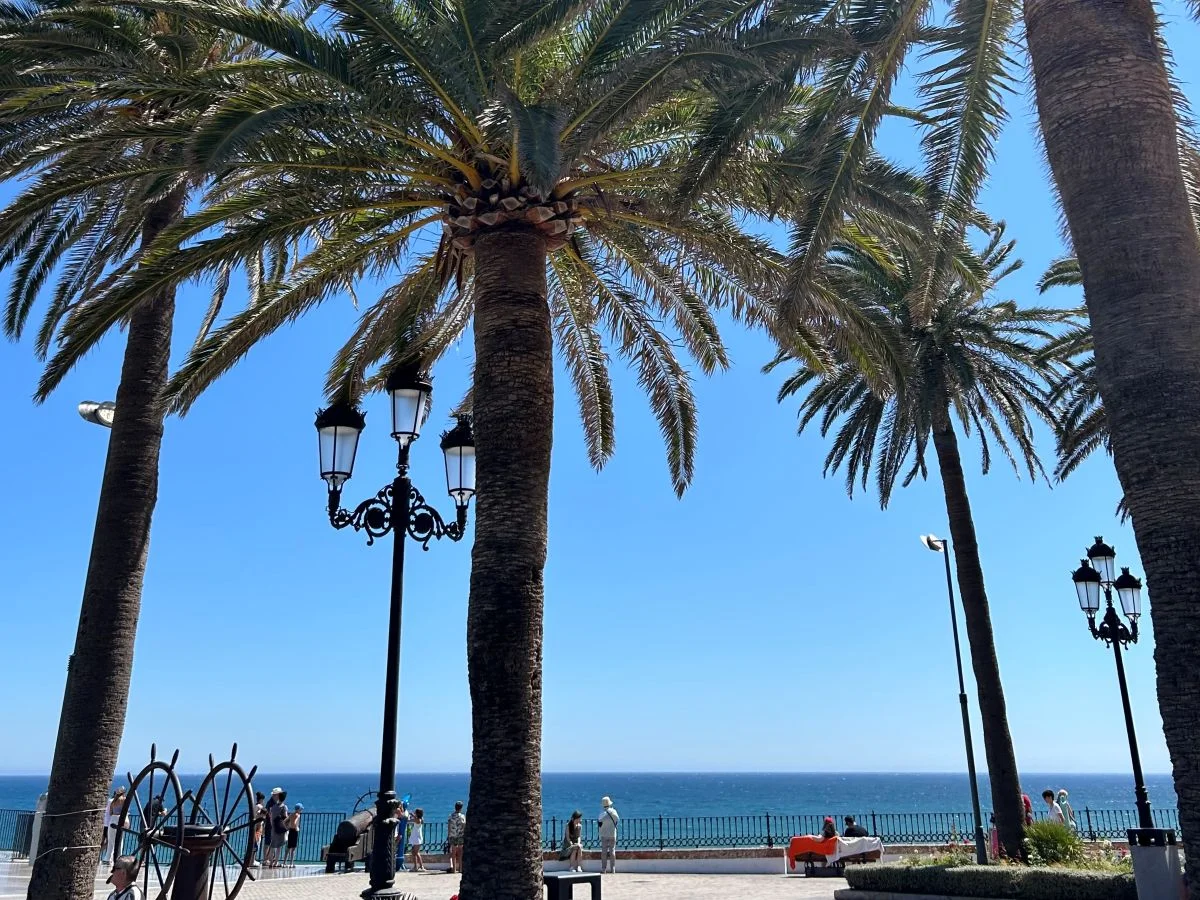 Palm trees and seafront promenade in Pedregalejo neighbourhood Málaga