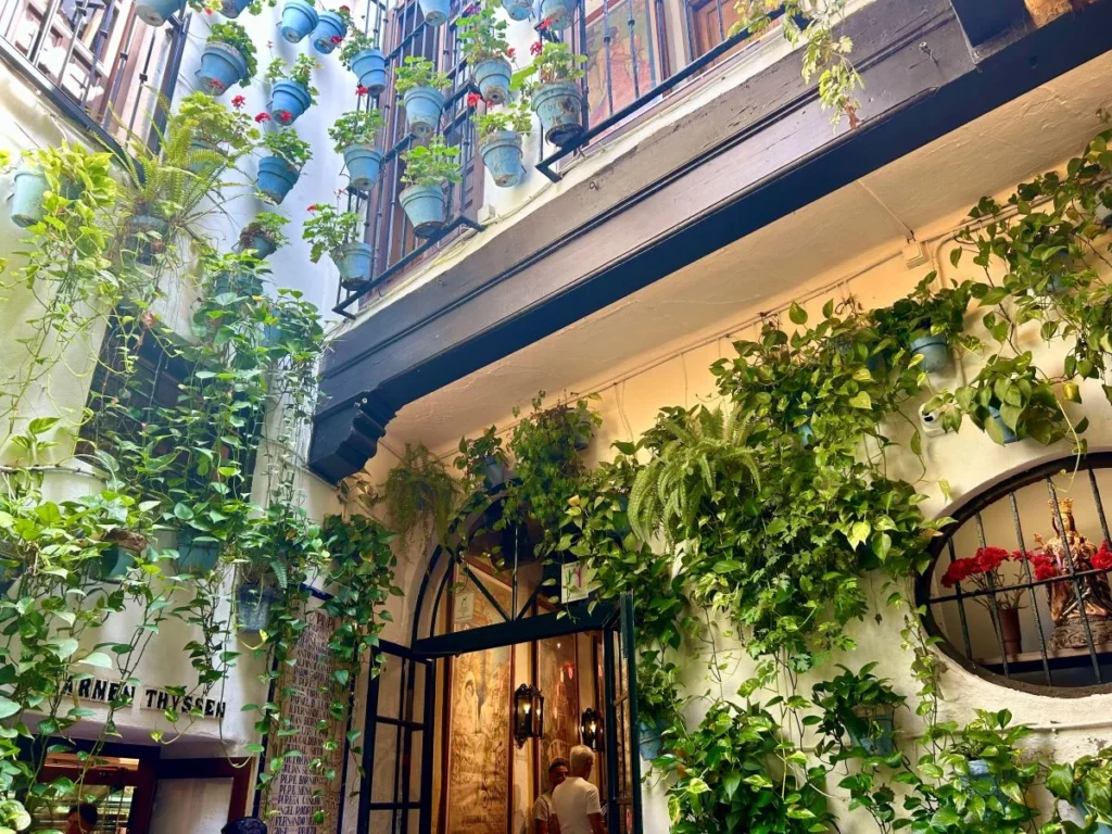 where to eat typical spanish tapas in bodega malaga el pimpi historic centre