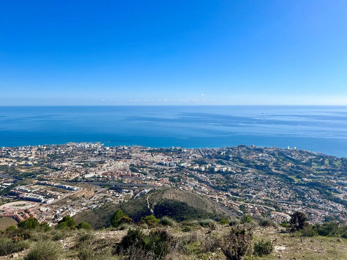 Sea view with palm trees and bougainvillea in Málaga — perfect for choosing where to stay