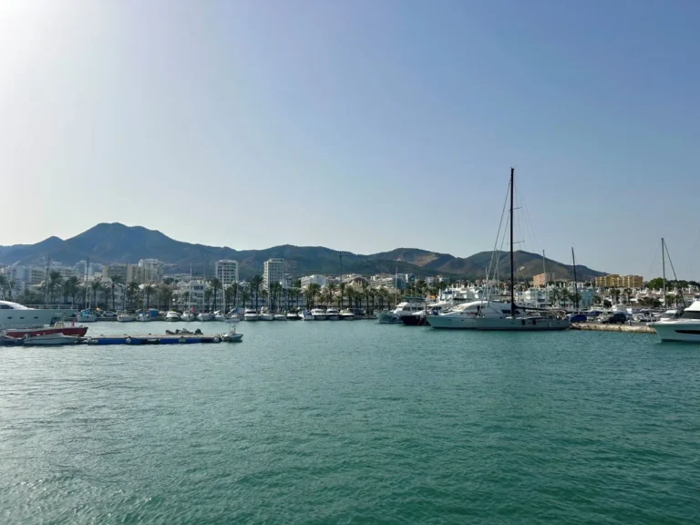 Wide view of Puerto Marina Benalmádena with moored boats, palm-lined promenade and mountains near Málaga